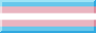 A button with the transgender pride flag